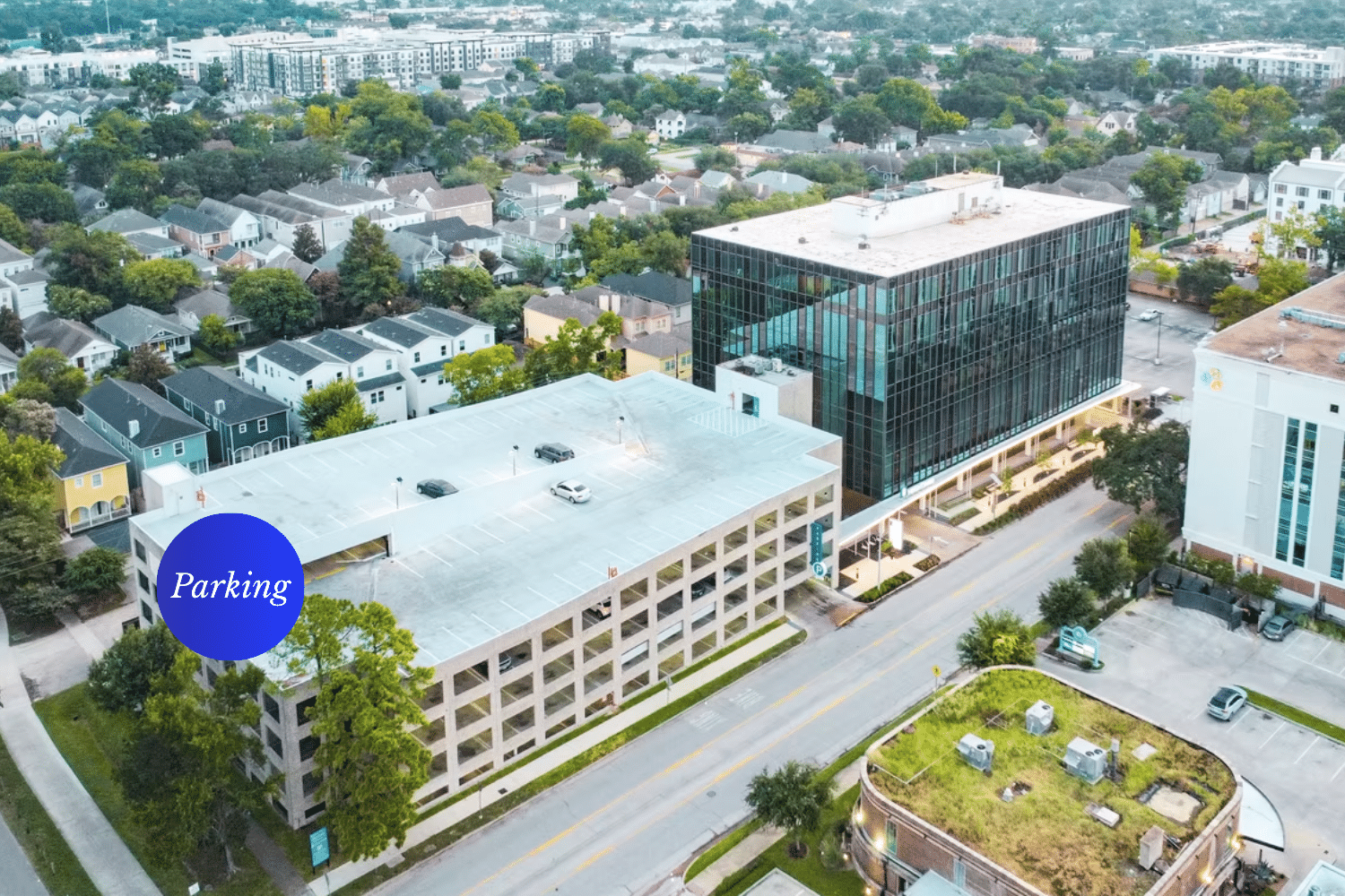 Minivasive Alani Office